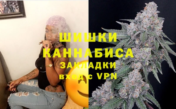 соль ск Кукмор