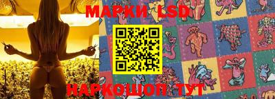 PSILOCYBIN Заволжье