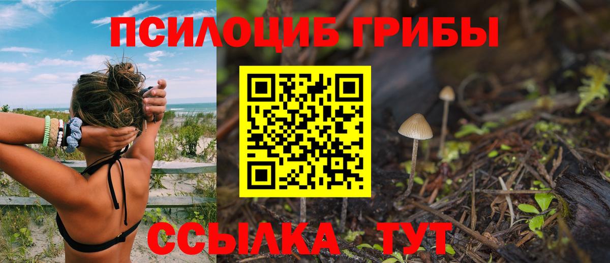 купить  сайты  Вход с VPN  Лесной  Галлюциногенные грибы Psilocybine cubensis 