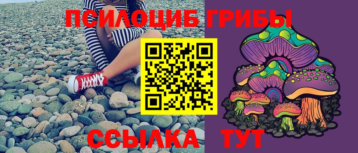 Псилоцибиновые грибы мицелий Лесной