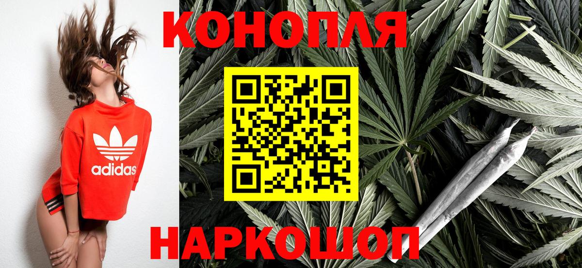 Шишки марихуана гибрид Лесной